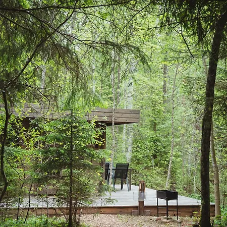 Private Forest Quiet Nature For 3 * Palukula (Rapla)