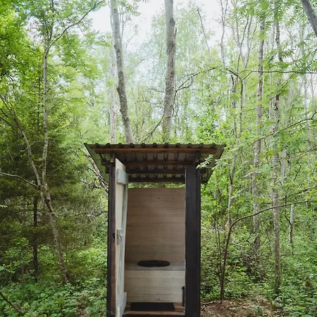 Private Forest Quiet Nature For 3