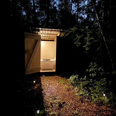 Private Forest Quiet Nature For 3
